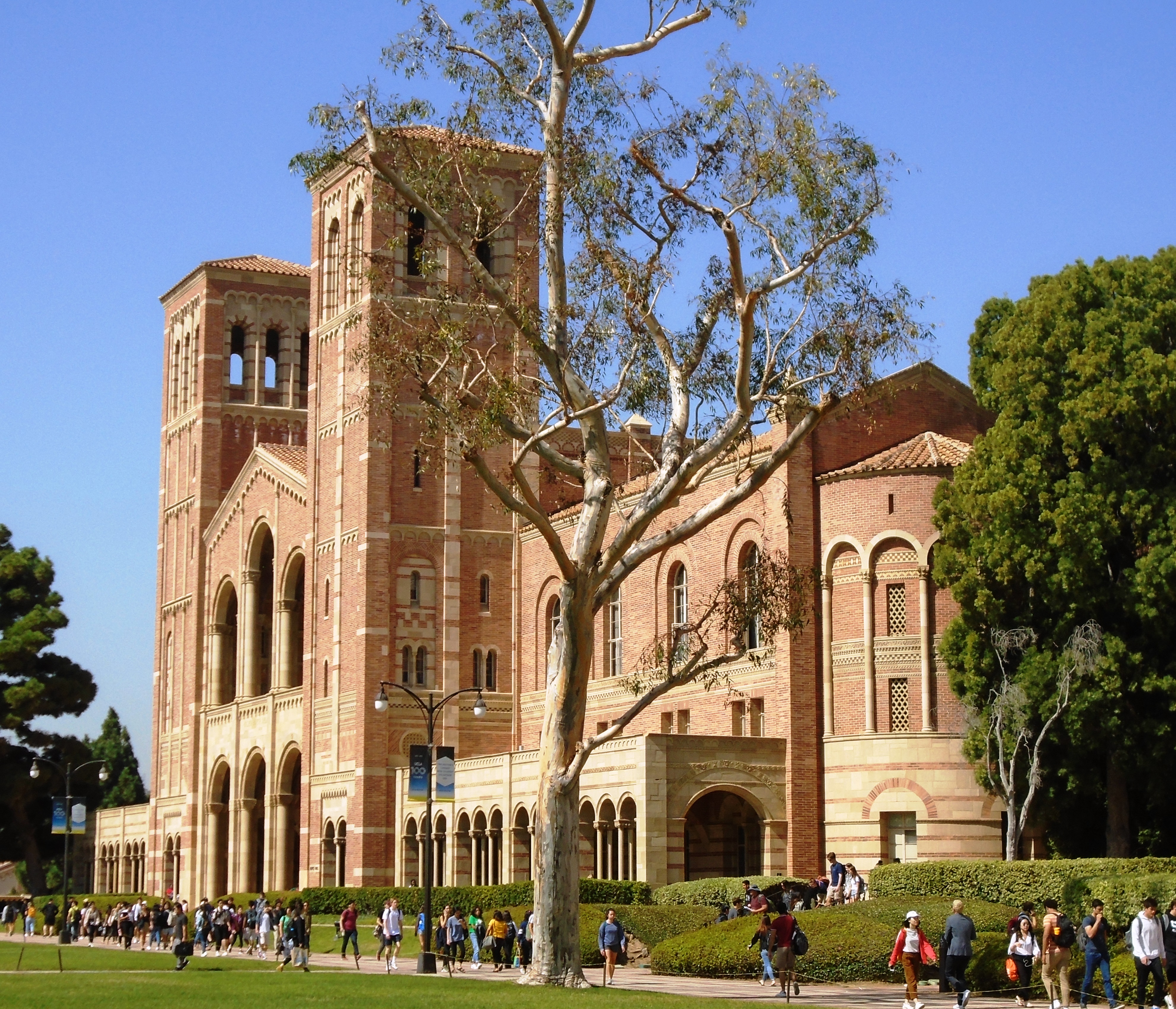 UCLA photo